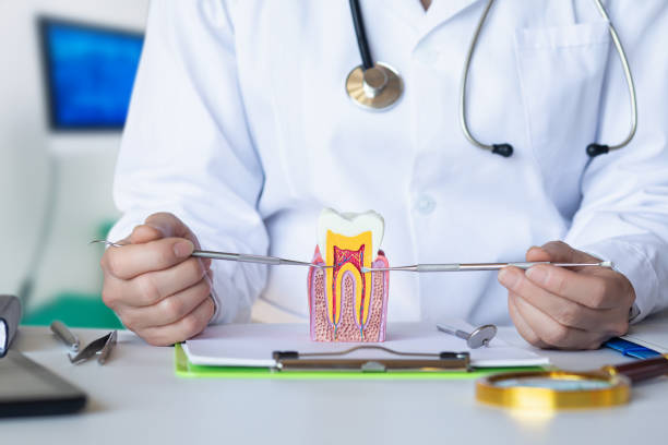 Best Emergency Gum Treatment in Essexville, MI